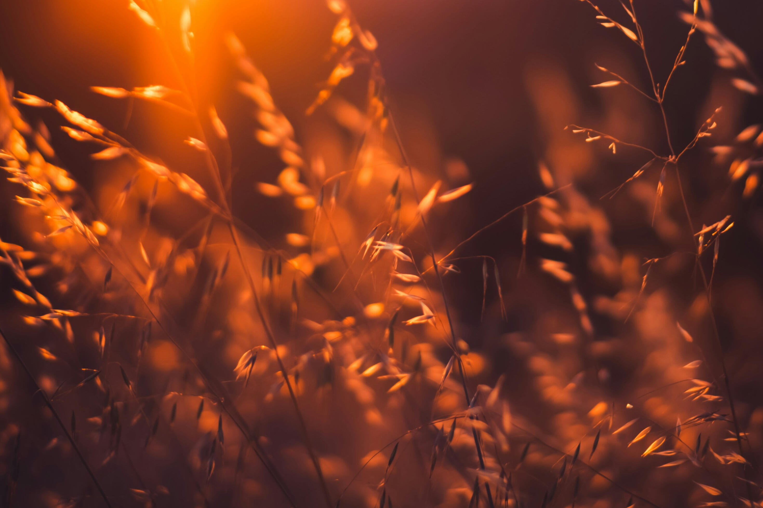 Powering a New Season of Energy